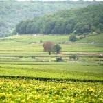 Domaine Sérafin