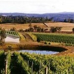 Domaine A