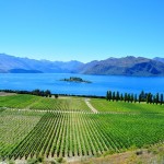 Rippon