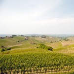 Sottimano