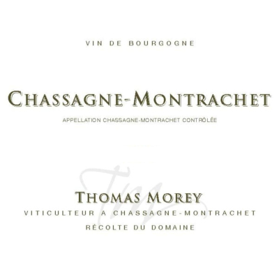 Thomas Morey Chassagne-Montrachet 2022 (6x75cl)