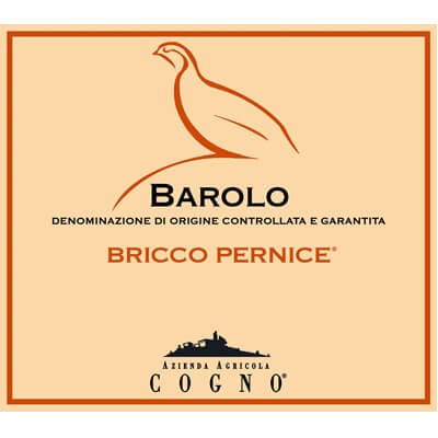 Elvio Cogno Barolo Bricco Pernice 2017 (1x75cl)