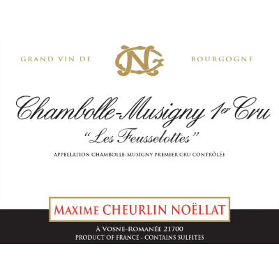 Georges Noellat Chambolle-Musigny 1er Cru Les Feusselottes 2022 (6x75cl)